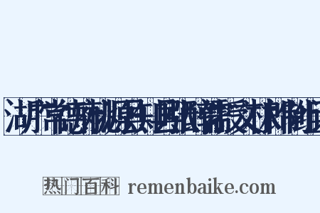 湖广常德府桃源县知县张醇儒授文林郎制组词是什么意思的图片